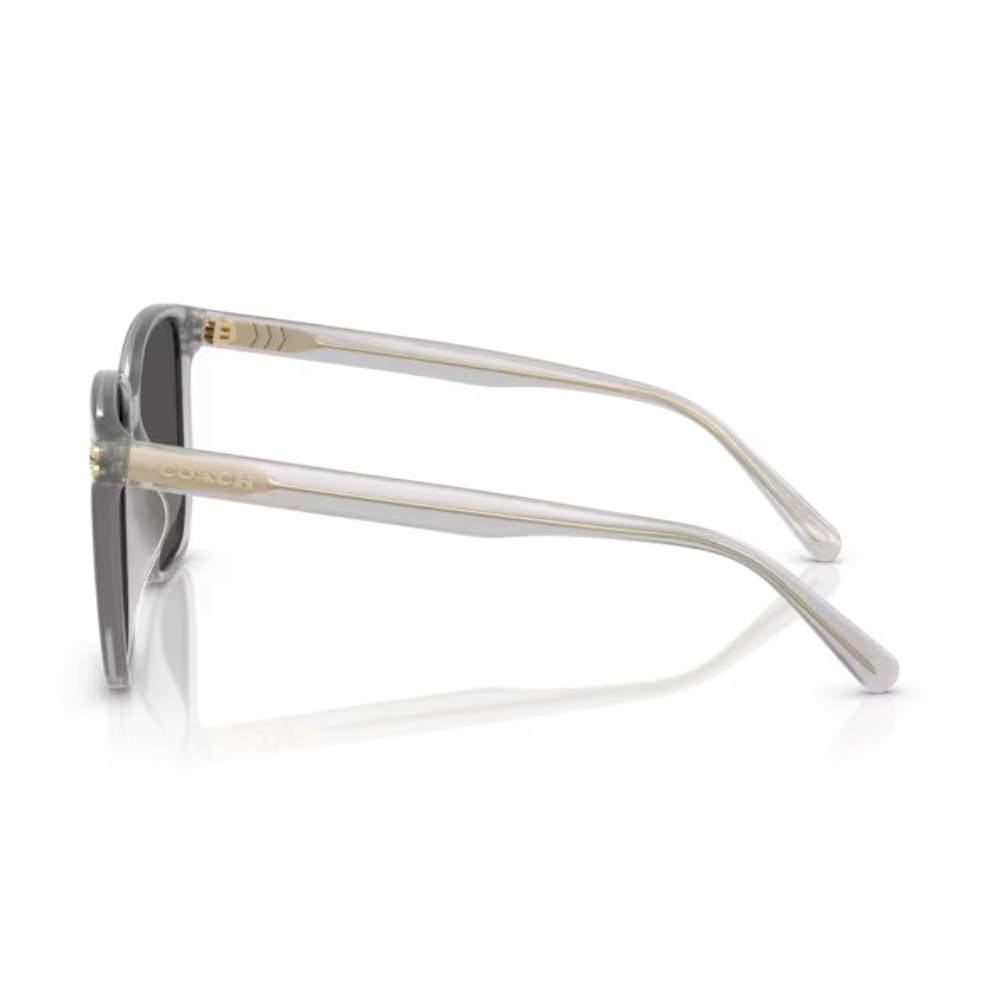 Coach INJECTED WOMAN SUNGLASS