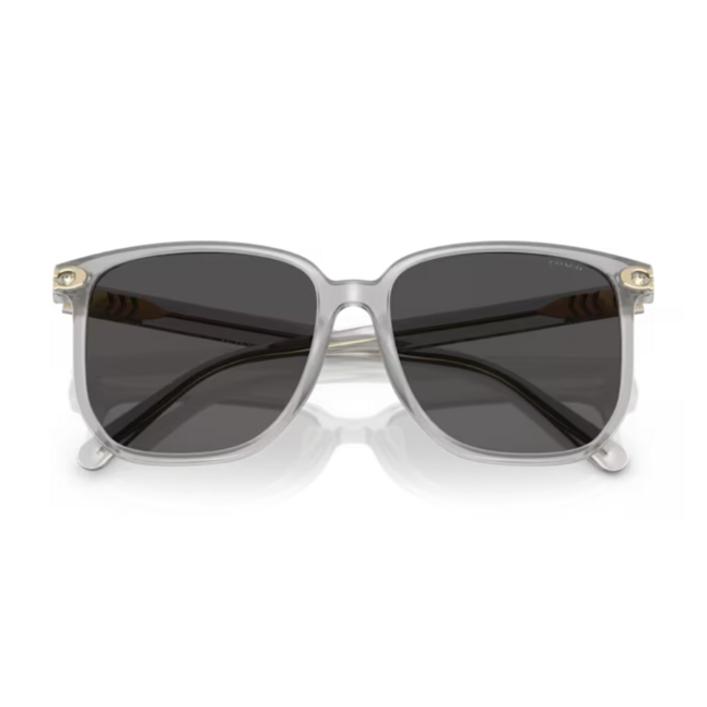 Coach INJECTED WOMAN SUNGLASS