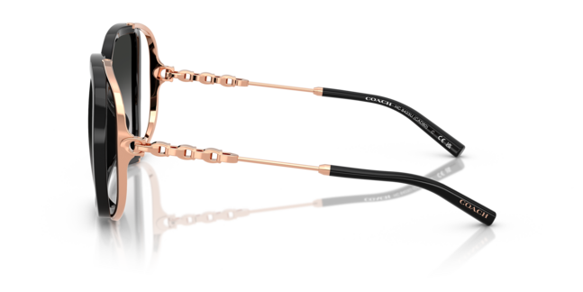 Coach INJECTED WOMAN SUNGLASS