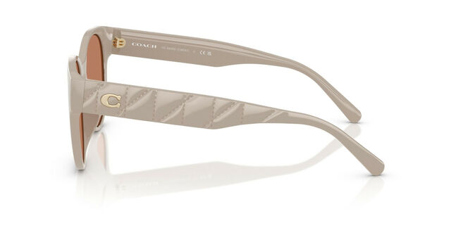 Coach INJECTED WOMAN SUNGLASS