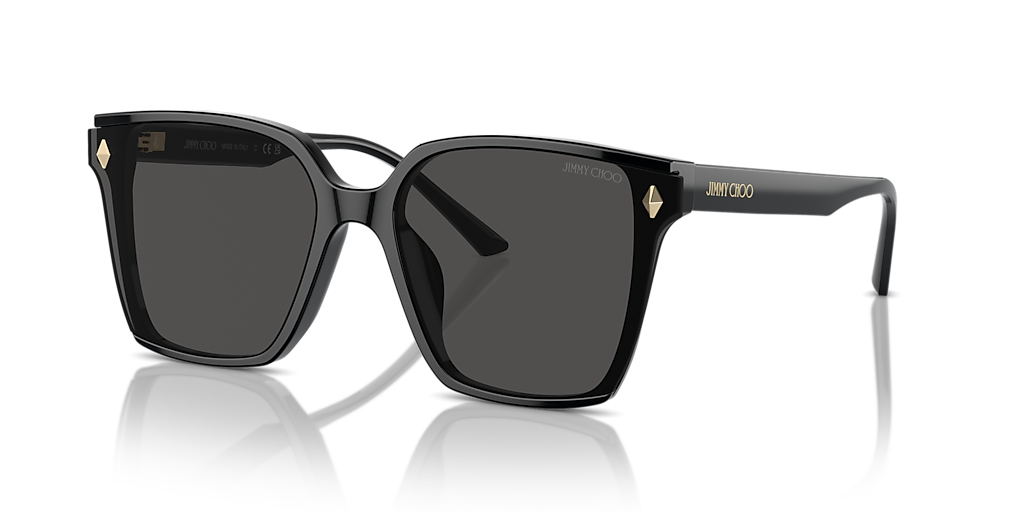 Jimmy Choo ACETATE WOMAN SUNGLASS