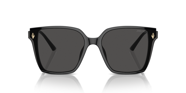 Jimmy Choo ACETATE WOMAN SUNGLASS