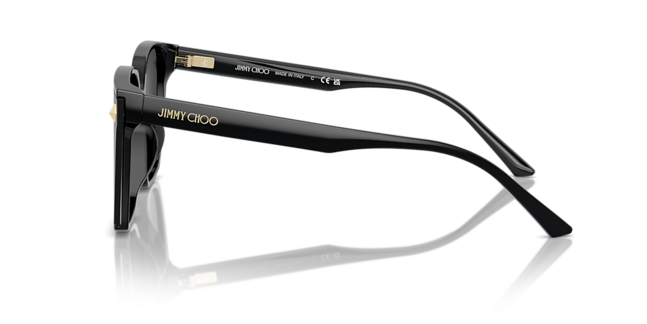 Jimmy Choo ACETATE WOMAN SUNGLASS
