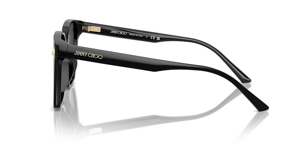 Jimmy Choo ACETATE WOMAN SUNGLASS