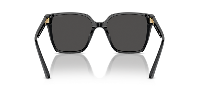 Jimmy Choo ACETATE WOMAN SUNGLASS