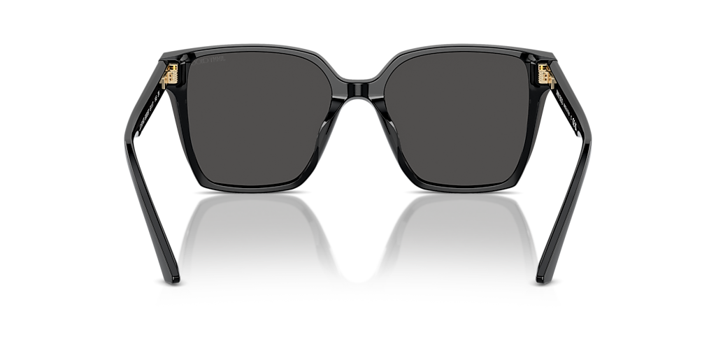 Jimmy Choo ACETATE WOMAN SUNGLASS