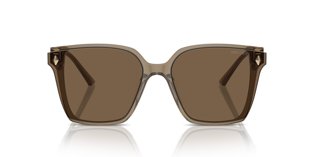 Jimmy Choo ACETATE WOMAN SUNGLASS