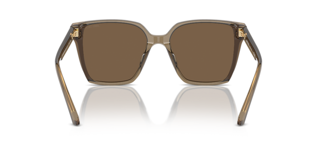Jimmy Choo ACETATE WOMAN SUNGLASS