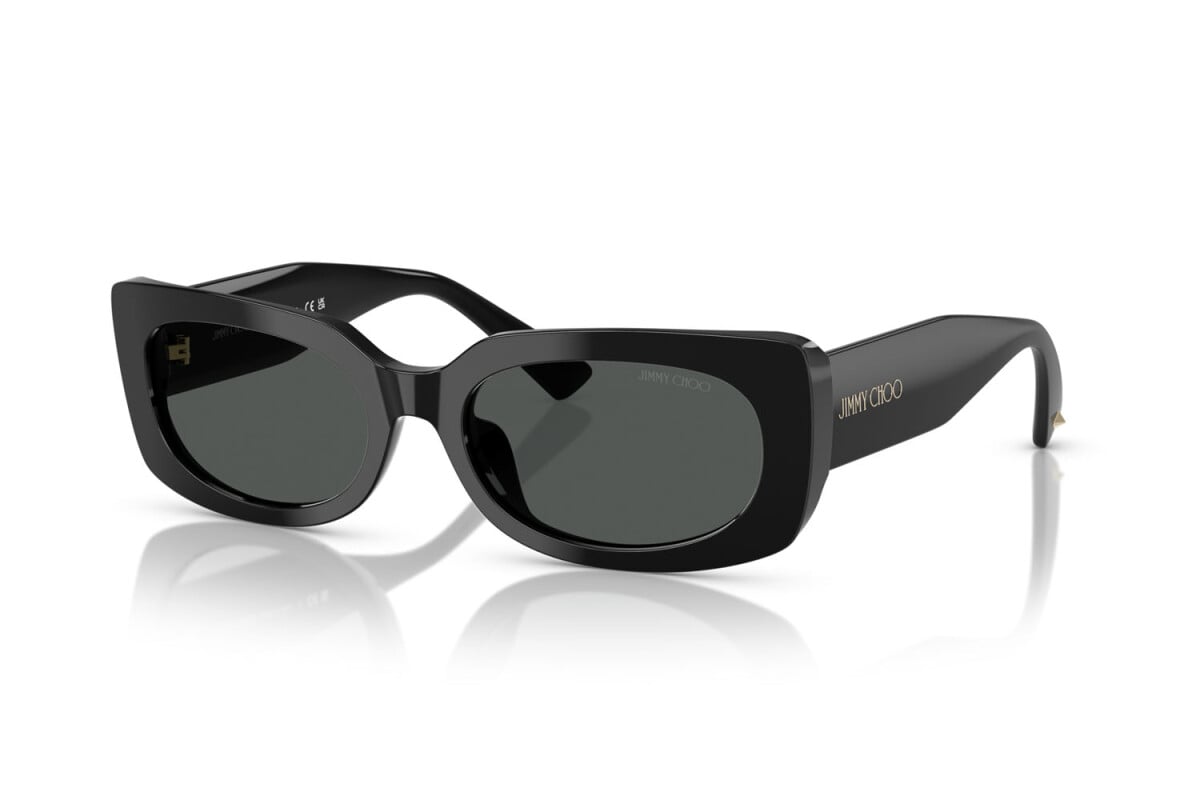 Jimmy Choo ACETATE WOMAN SUNGLASS