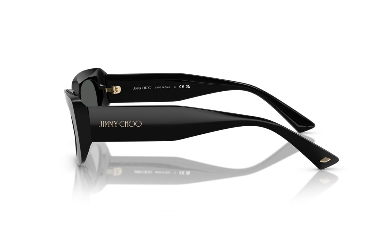 Jimmy Choo ACETATE WOMAN SUNGLASS