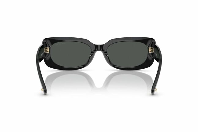 Jimmy Choo ACETATE WOMAN SUNGLASS