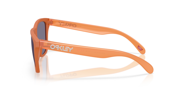 Oakley INJECTED MAN SUNGLASS