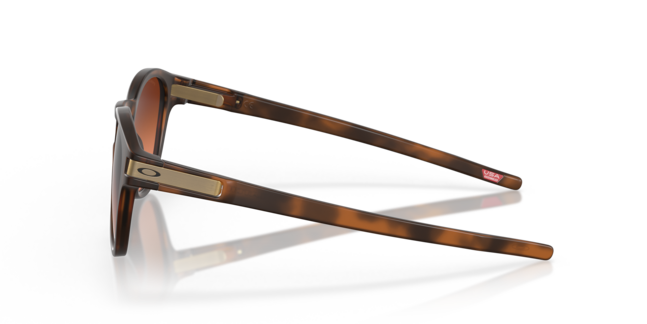 Oakley INJECTED MAN SUNGLASS