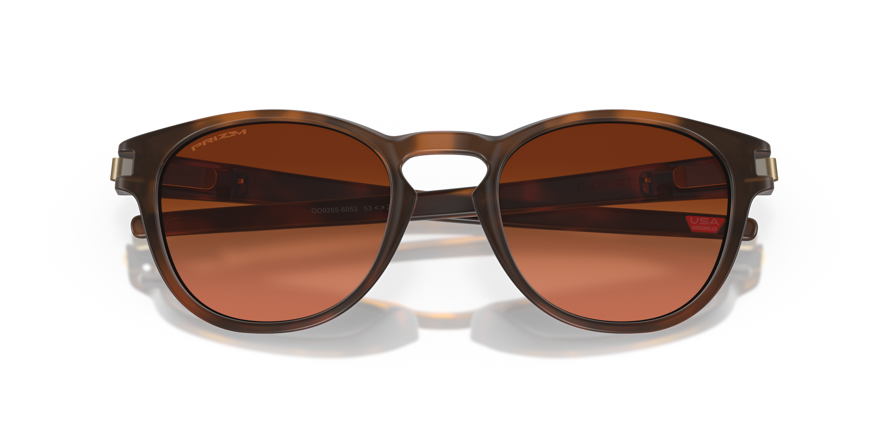 Oakley INJECTED MAN SUNGLASS