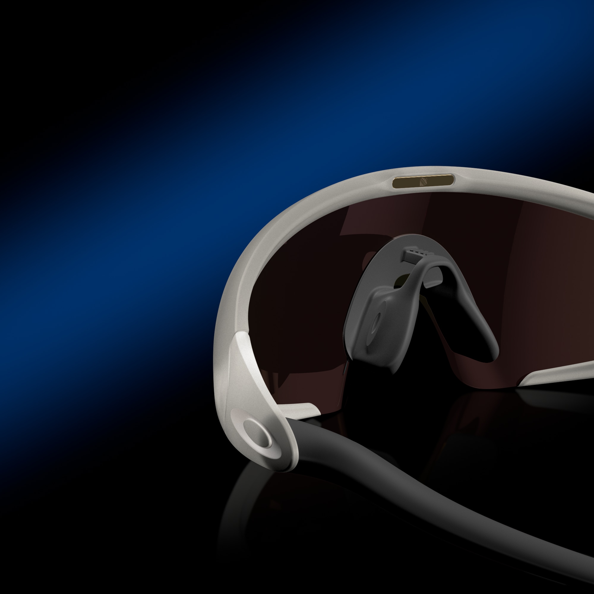 Oakley INJECTED UNISEX SUNGLASS