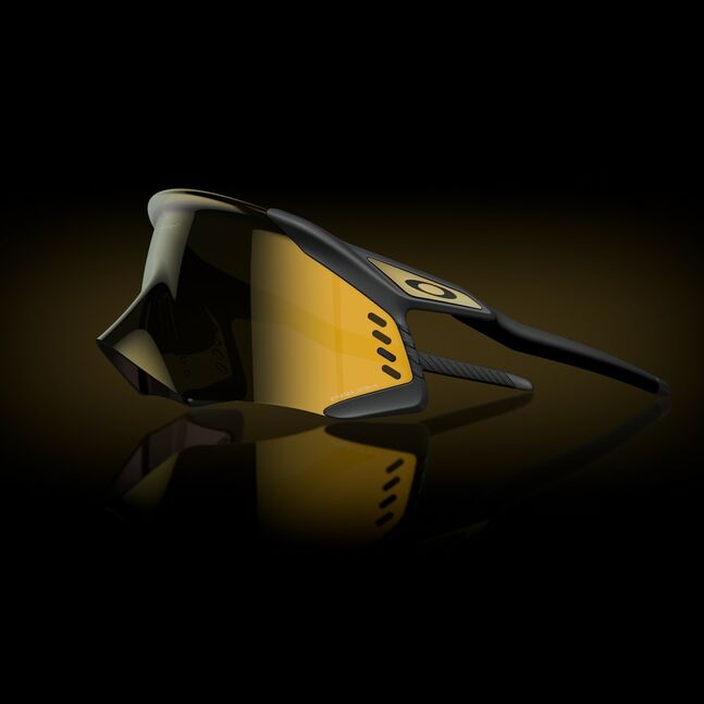 Oakley INJECTED UNISEX SUNGLASS