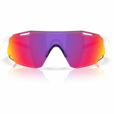 Oakley INJECTED UNISEX SUNGLASS