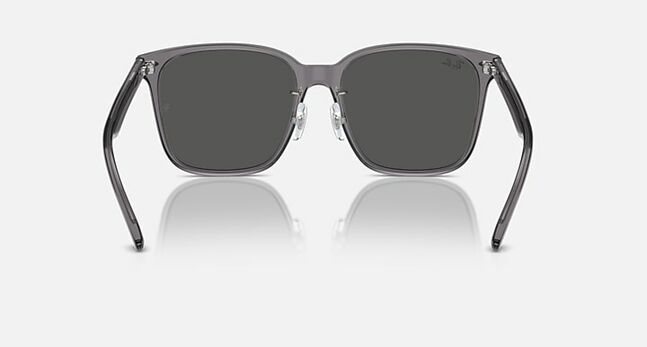 Ray-Ban ACETATE UNISEX SUNGLASS