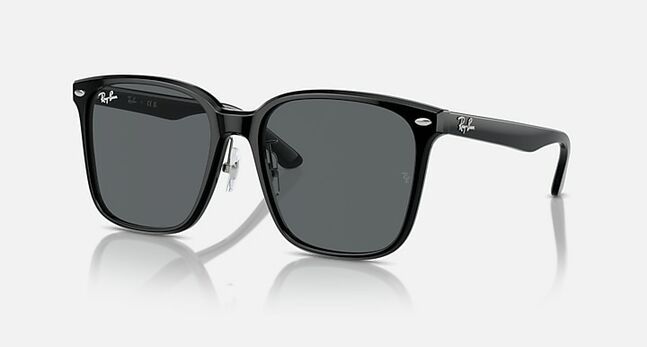 Ray-Ban ACETATE UNISEX SUNGLASS