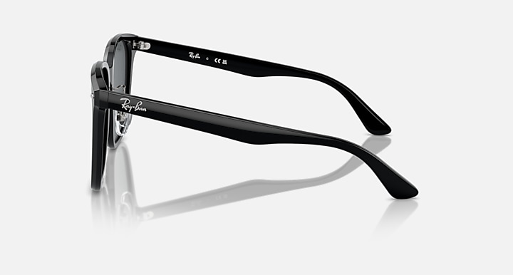 Ray-Ban ACETATE UNISEX SUNGLASS
