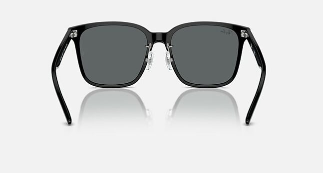 Ray-Ban ACETATE UNISEX SUNGLASS