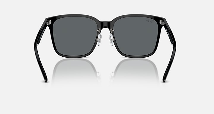 Ray-Ban ACETATE UNISEX SUNGLASS
