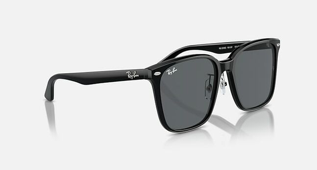 Ray-Ban ACETATE UNISEX SUNGLASS