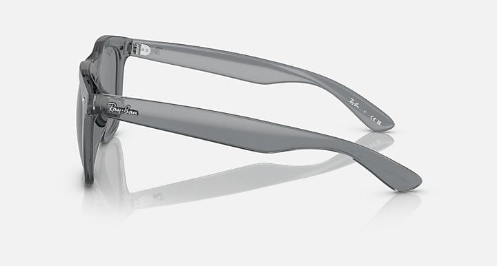 Ray-Ban INJECTED UNISEX SUNGLASS
