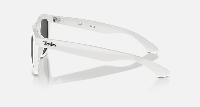 Ray-Ban INJECTED UNISEX SUNGLASS