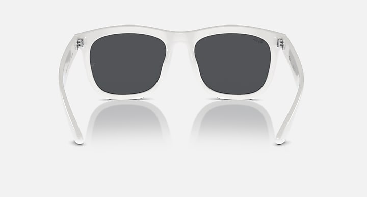 Ray-Ban INJECTED UNISEX SUNGLASS
