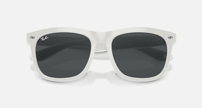 Ray-Ban INJECTED UNISEX SUNGLASS