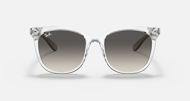 Ray-Ban INJECTED UNISEX SUNGLASS