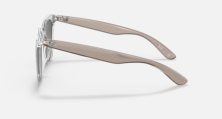 Ray-Ban INJECTED UNISEX SUNGLASS
