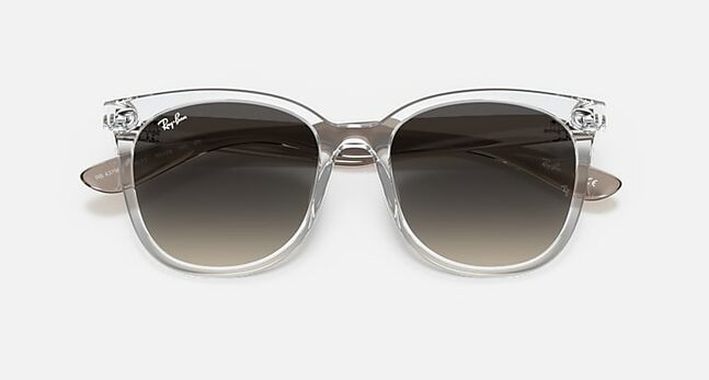 Ray-Ban INJECTED UNISEX SUNGLASS