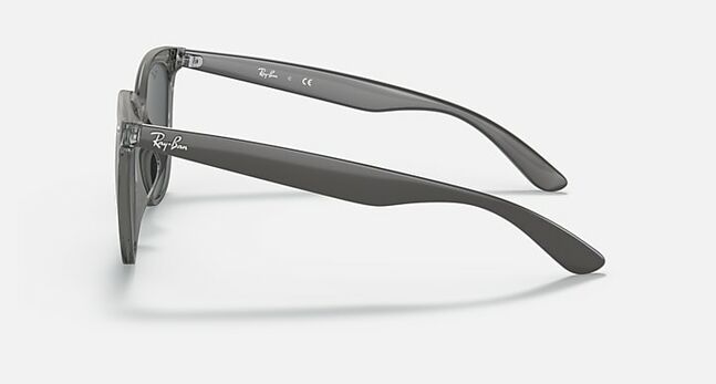 Ray-Ban INJECTED UNISEX SUNGLASS