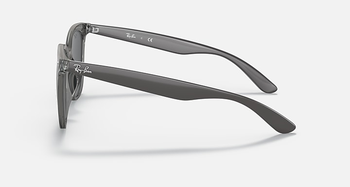 Ray-Ban INJECTED UNISEX SUNGLASS