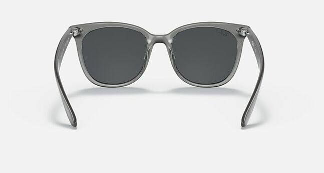 Ray-Ban INJECTED UNISEX SUNGLASS