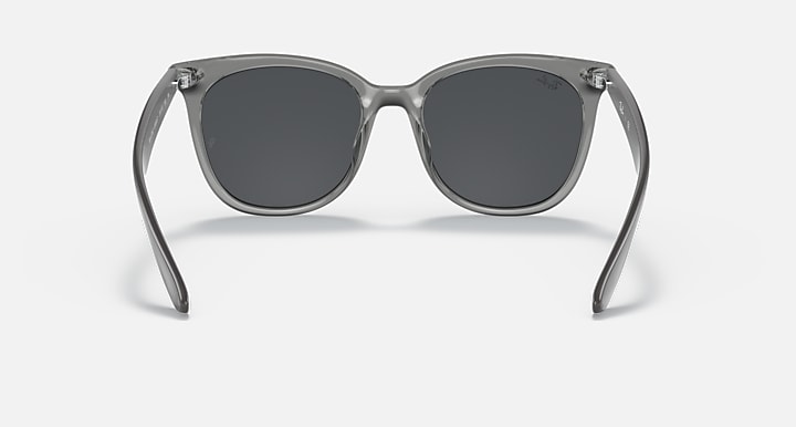 Ray-Ban INJECTED UNISEX SUNGLASS