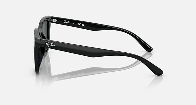 Ray-Ban INJECTED UNISEX SUNGLASS