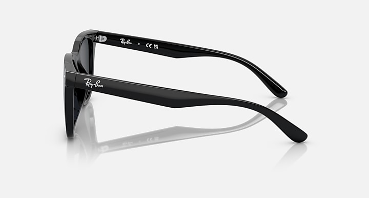 Ray-Ban INJECTED UNISEX SUNGLASS