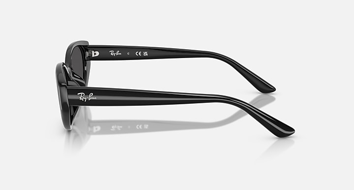 Ray-Ban INJECTED UNISEX SUNGLASS