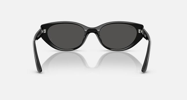 Ray-Ban INJECTED UNISEX SUNGLASS