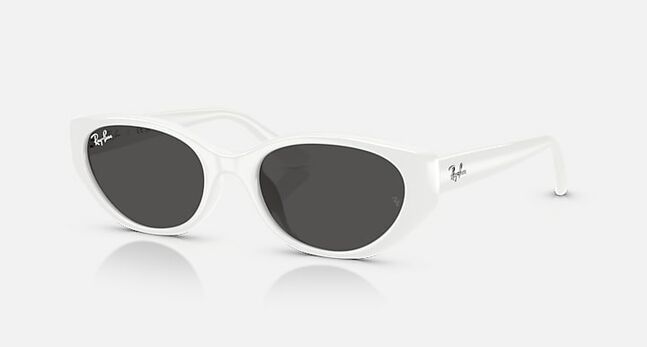 Ray-Ban INJECTED UNISEX SUNGLASS