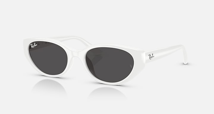 Ray-Ban INJECTED UNISEX SUNGLASS