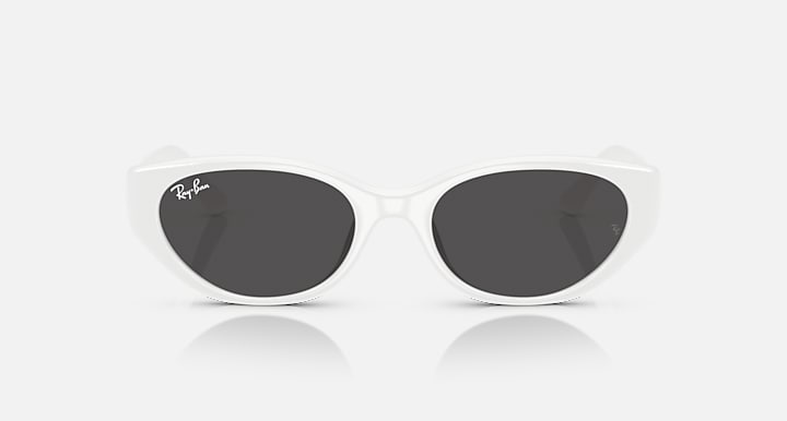 Ray-Ban INJECTED UNISEX SUNGLASS
