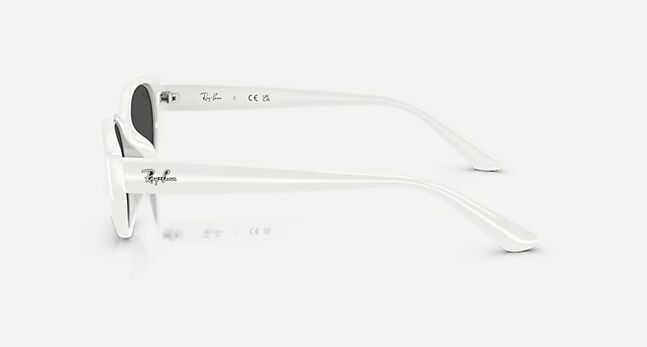 Ray-Ban INJECTED UNISEX SUNGLASS