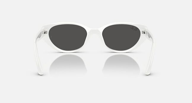 Ray-Ban INJECTED UNISEX SUNGLASS