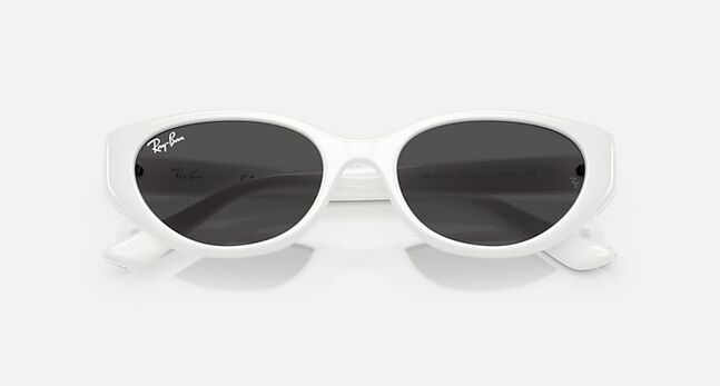 Ray-Ban INJECTED UNISEX SUNGLASS