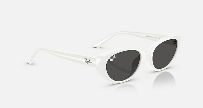 Ray-Ban INJECTED UNISEX SUNGLASS