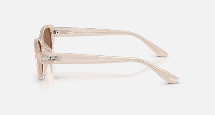 Ray-Ban INJECTED UNISEX SUNGLASS